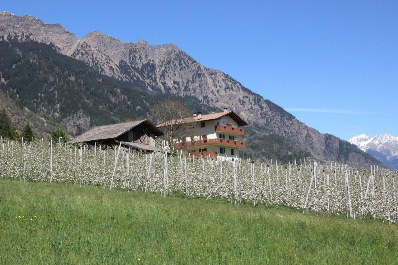 Mareinhof - Urlaub Auf Dem Apfelbauernhof Apartment Parcines Luaran gambar